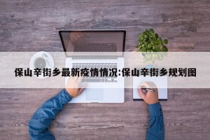 保山辛街乡最新疫情情况:保山辛街乡规划图